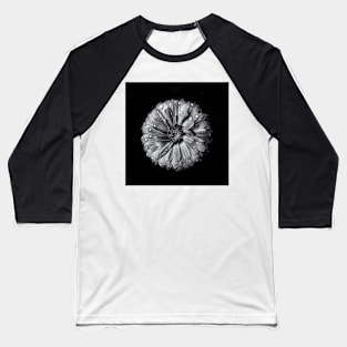 Backyard Flowers In Black And White 10 Baseball T-Shirt